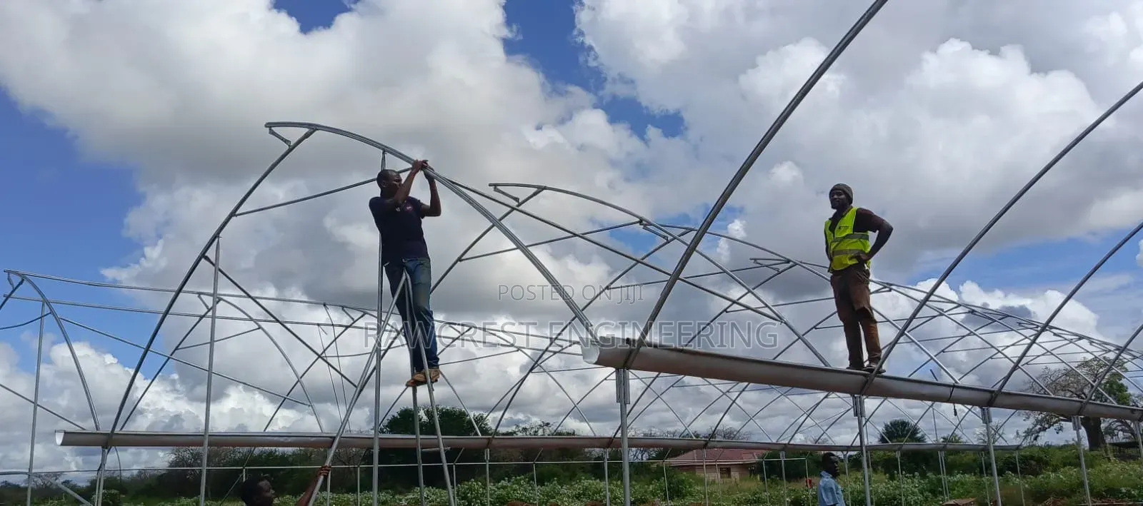 Greenhouse Construction