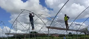 Greenhouse Construction