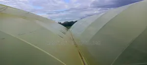 Greenhouse Construction