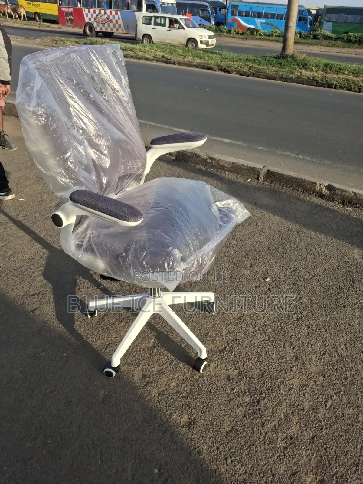 Office White Director Chair