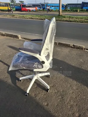 Office White Director Chair