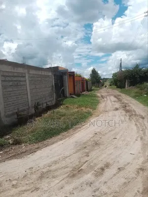 Very Prime Full 50 by 100 Plot, With Perimeter Wall and Foundation