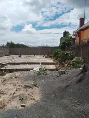 Very Prime Full 50 by 100 Plot, With Perimeter Wall and Foundation