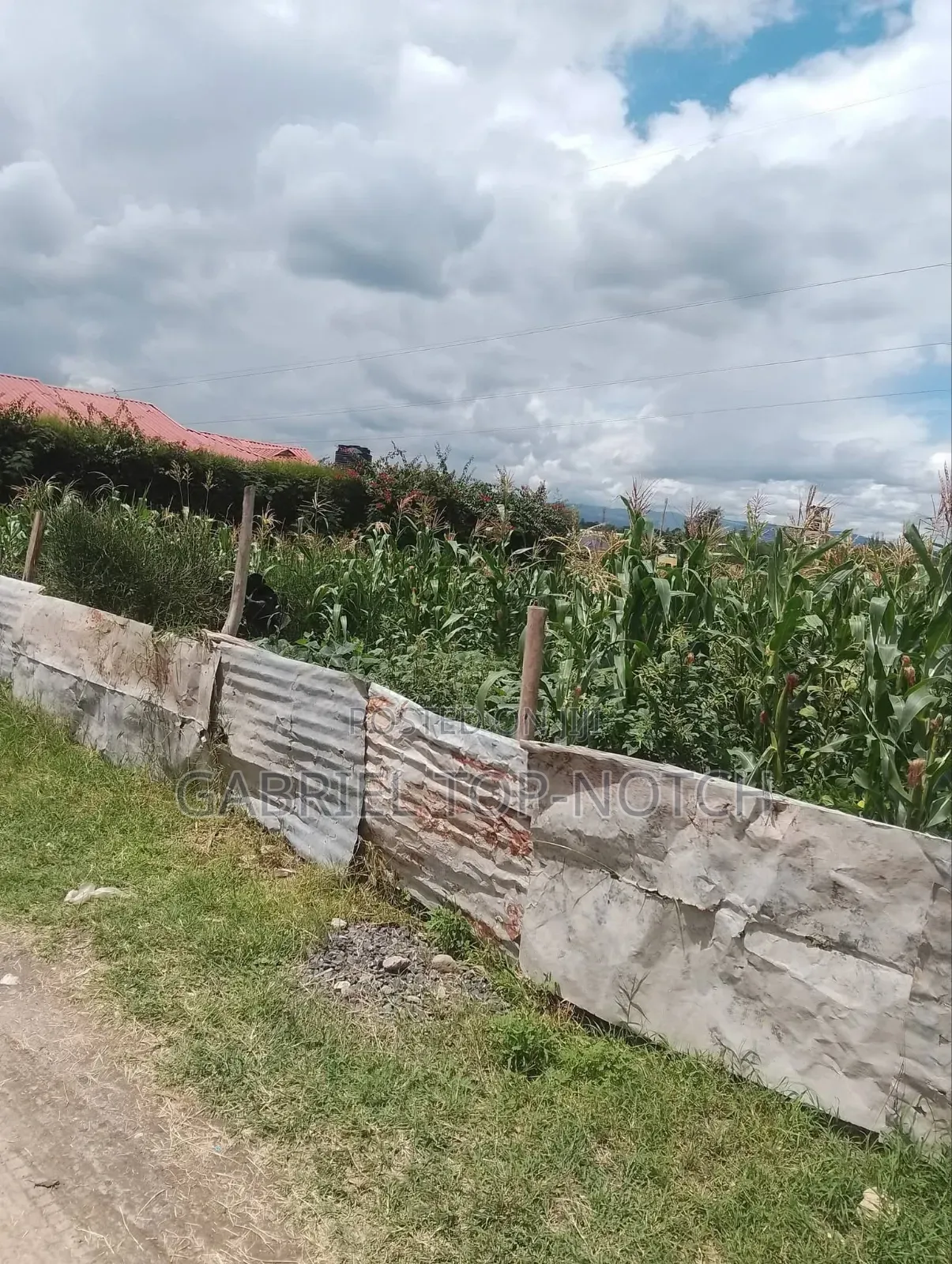 Very Prime Full 50 by 100 Plot, With Perimeter Wall and Foundation