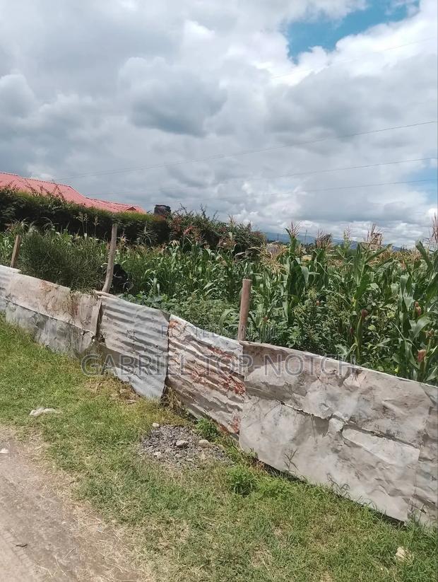 Very Prime Full 50 by 100 Plot, With Perimeter Wall and Foundation - thumbnail 7