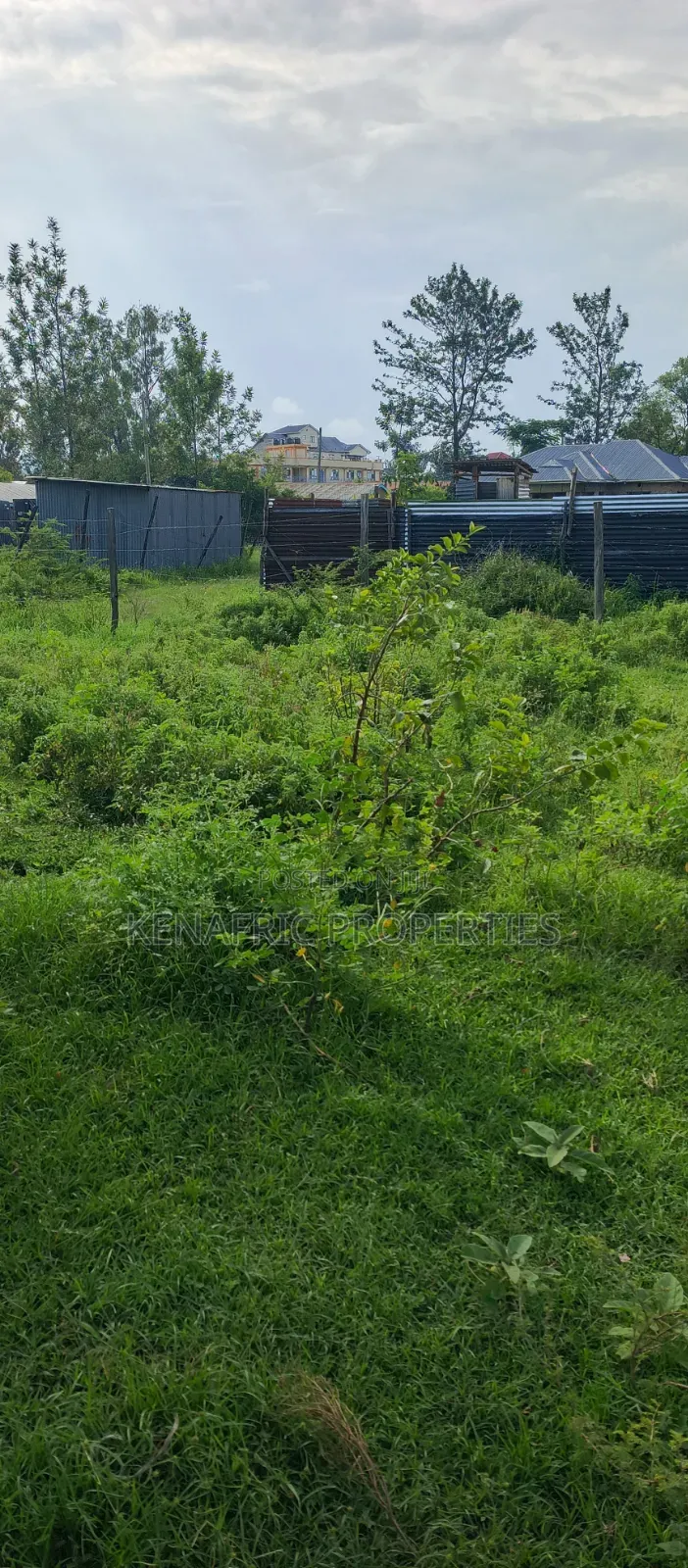 Elgons/Tido 1/2 Acre Plot