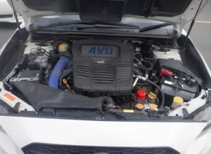 Subaru WRX Premium 2019 Pearl