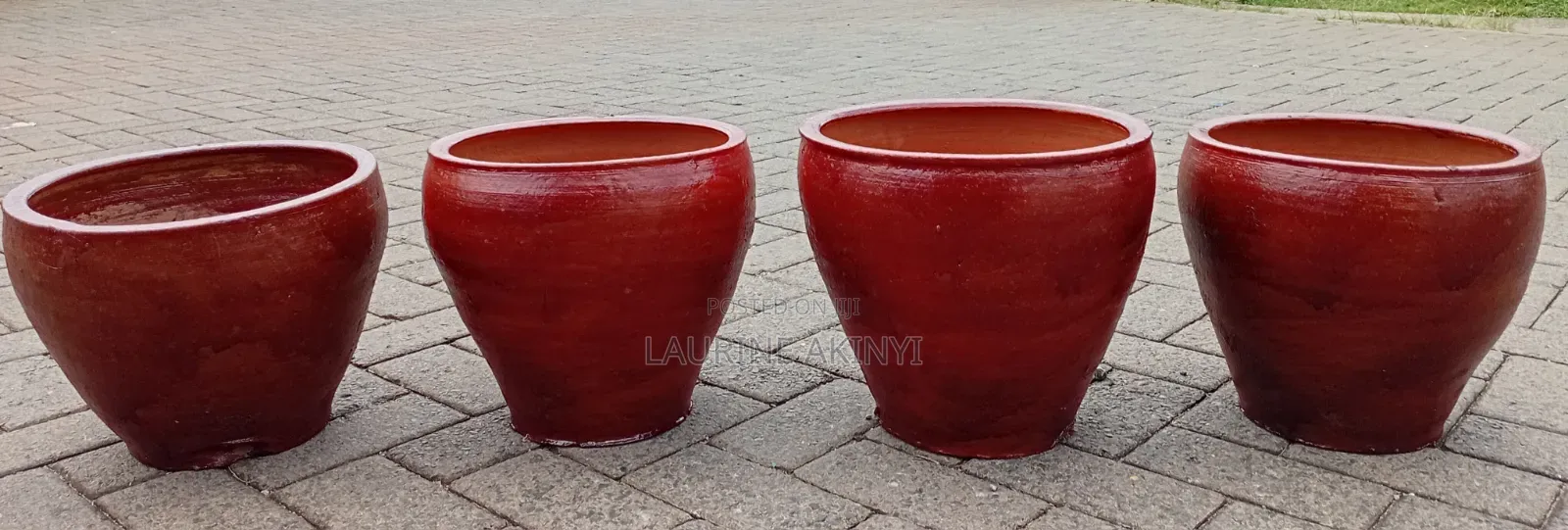 Clay and Potted Plants Available