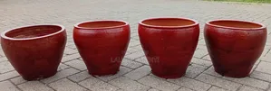Clay and Potted Plants Available