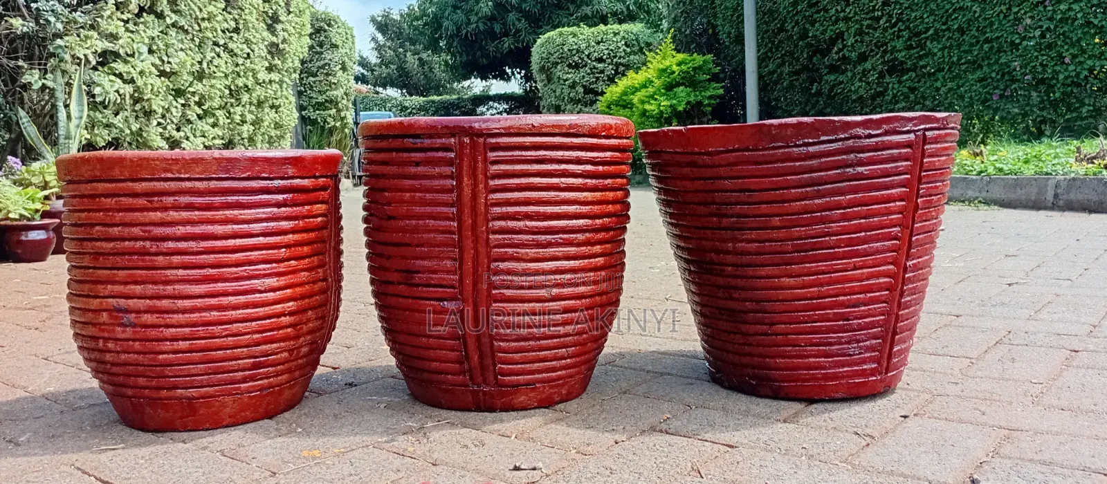 Clay and Potted Plants Available