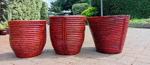 Clay and Potted Plants Available