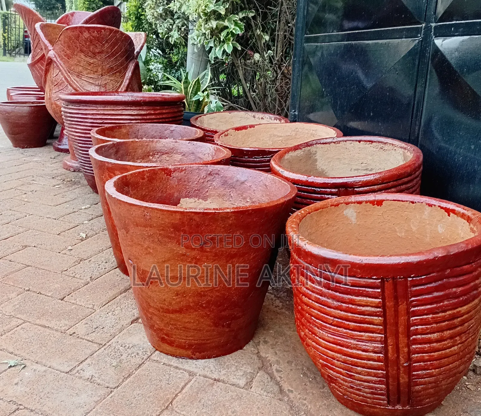 Clay and Potted Plants Available