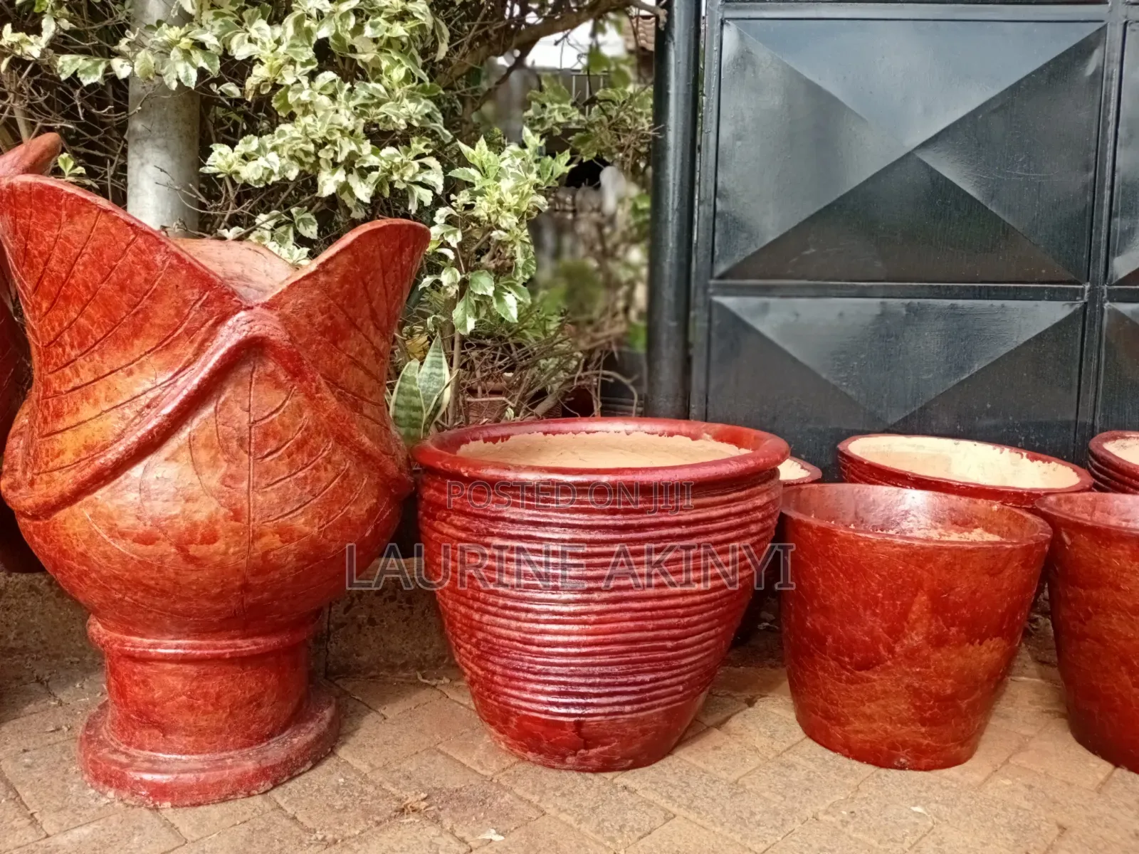 Clay and Potted Plants Available