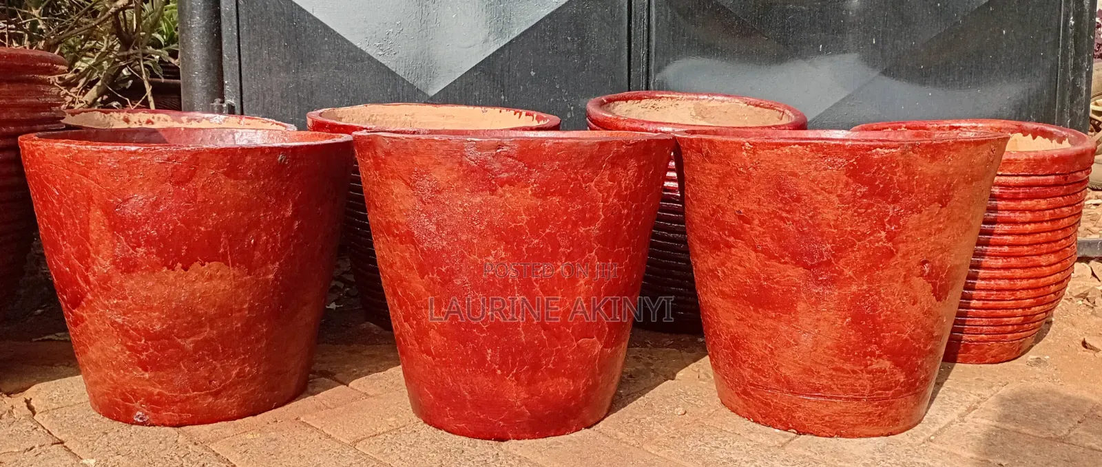 Clay and Potted Plants Available