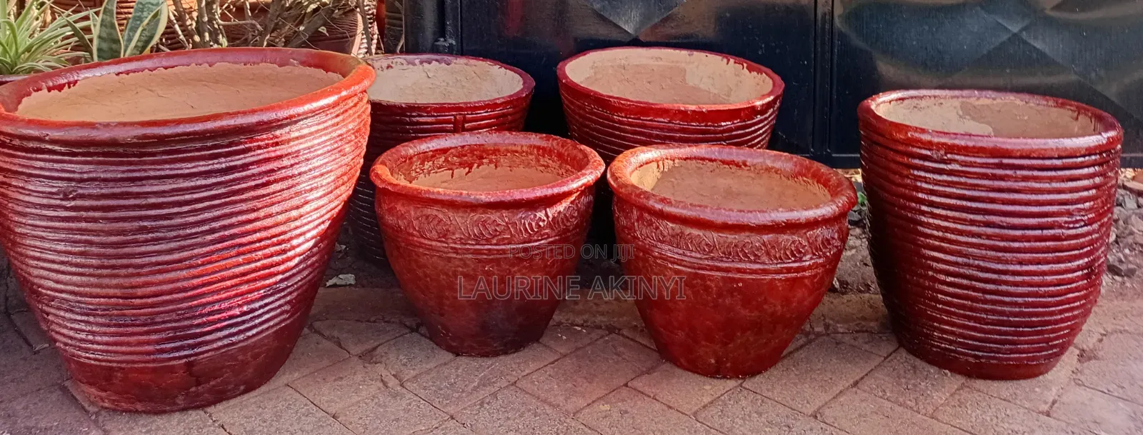 Clay and Potted Plants Available