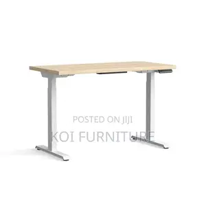 Office Desk; Aeeroplus 1.2 Meters Electric Modern Adjustsable Desk