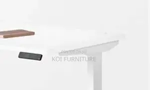Office Desk; Aeeroplus 1.2 Meters Electric Modern Adjustsable Desk
