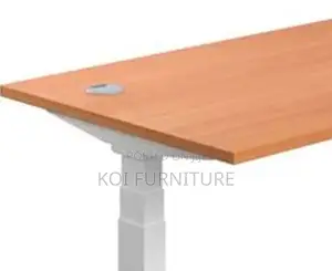 Office Desk; Aeeroplus 1.2 Meters Electric Modern Adjustsable Desk