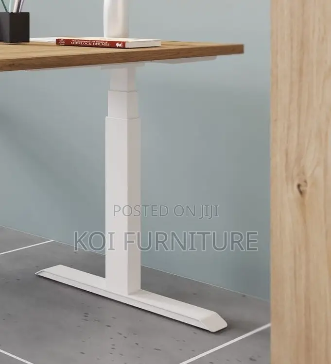 Office Desk; Aeeroplus 1.2 Meters Electric Modern Adjustsable Desk