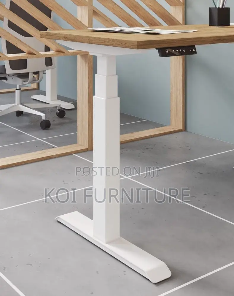 Office Desk; Aeeroplus 1.2 Meters Electric Modern Adjustsable Desk