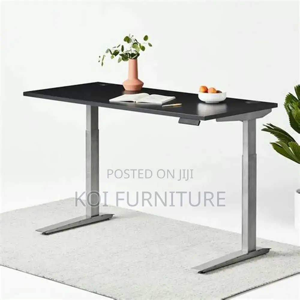 Office Desk; Aeeroplus 1.2 Meters Electric Modern Adjustsable Desk