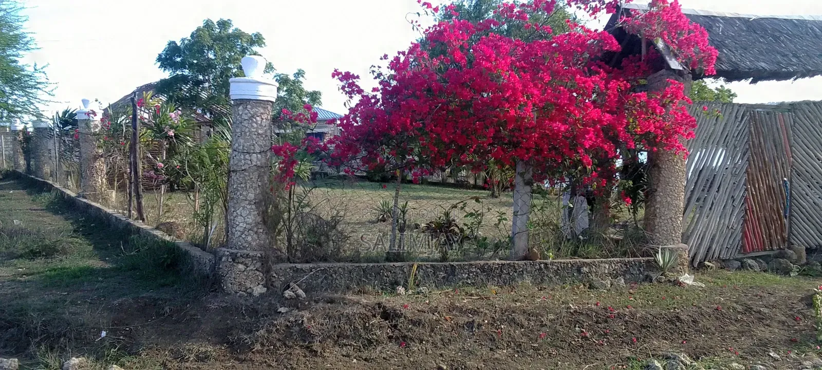 Creek Plots for Sale