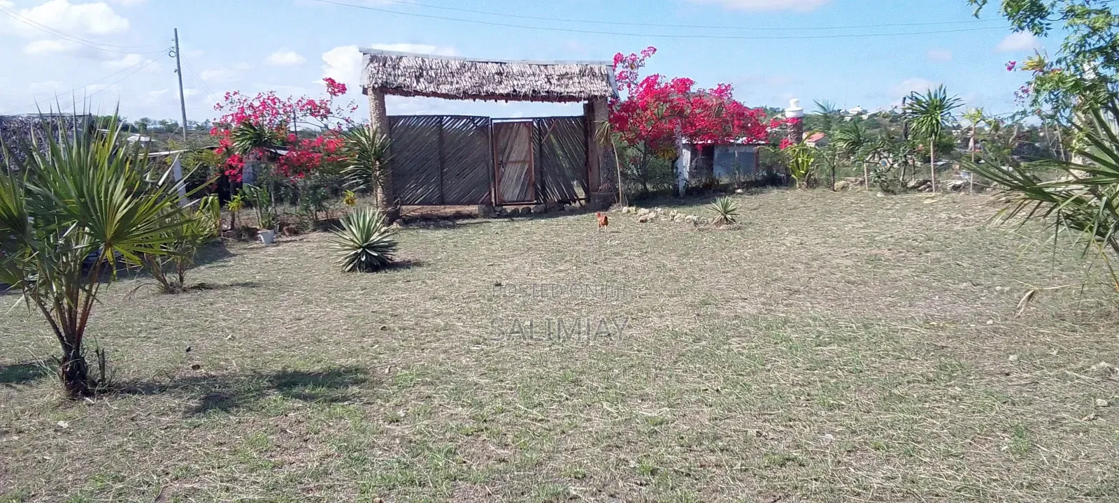 Creek Plots for Sale