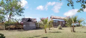 Creek Plots for Sale