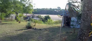 Creek Plots for Sale