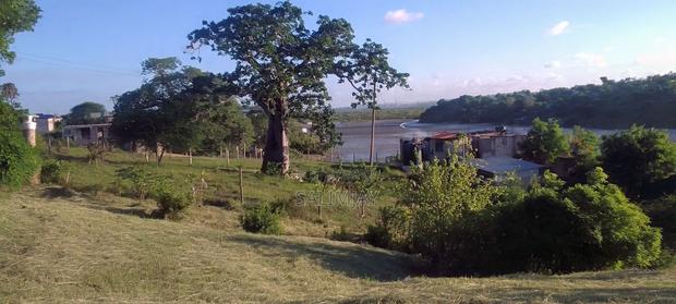 Creek Plots for Sale - thumbnail 9