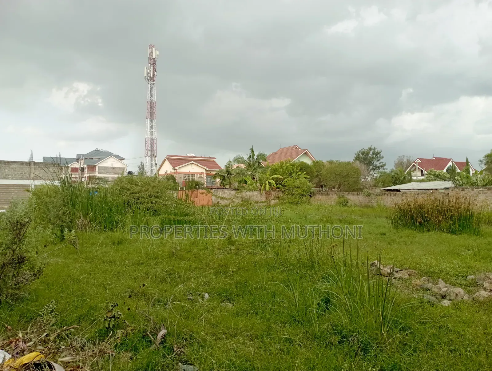 50×100 Plot for Sale in Syokimau.