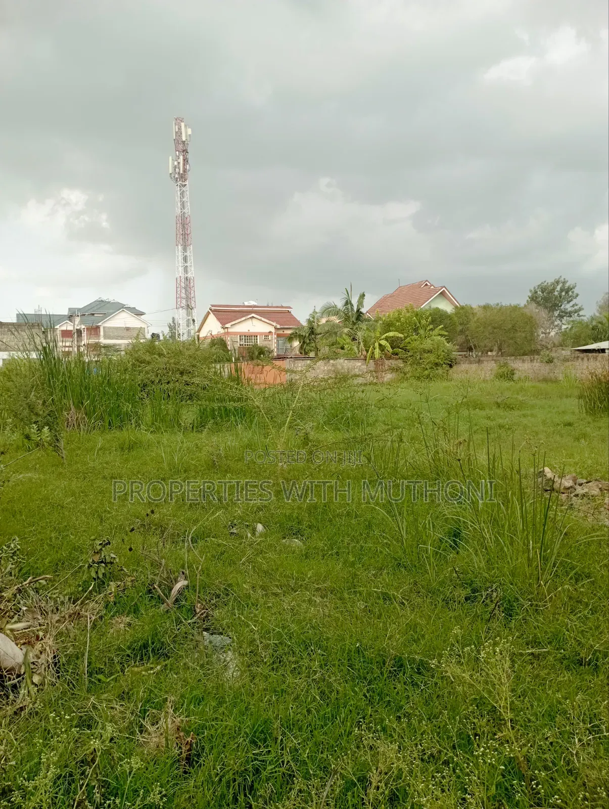 50×100 Plot for Sale in Syokimau.