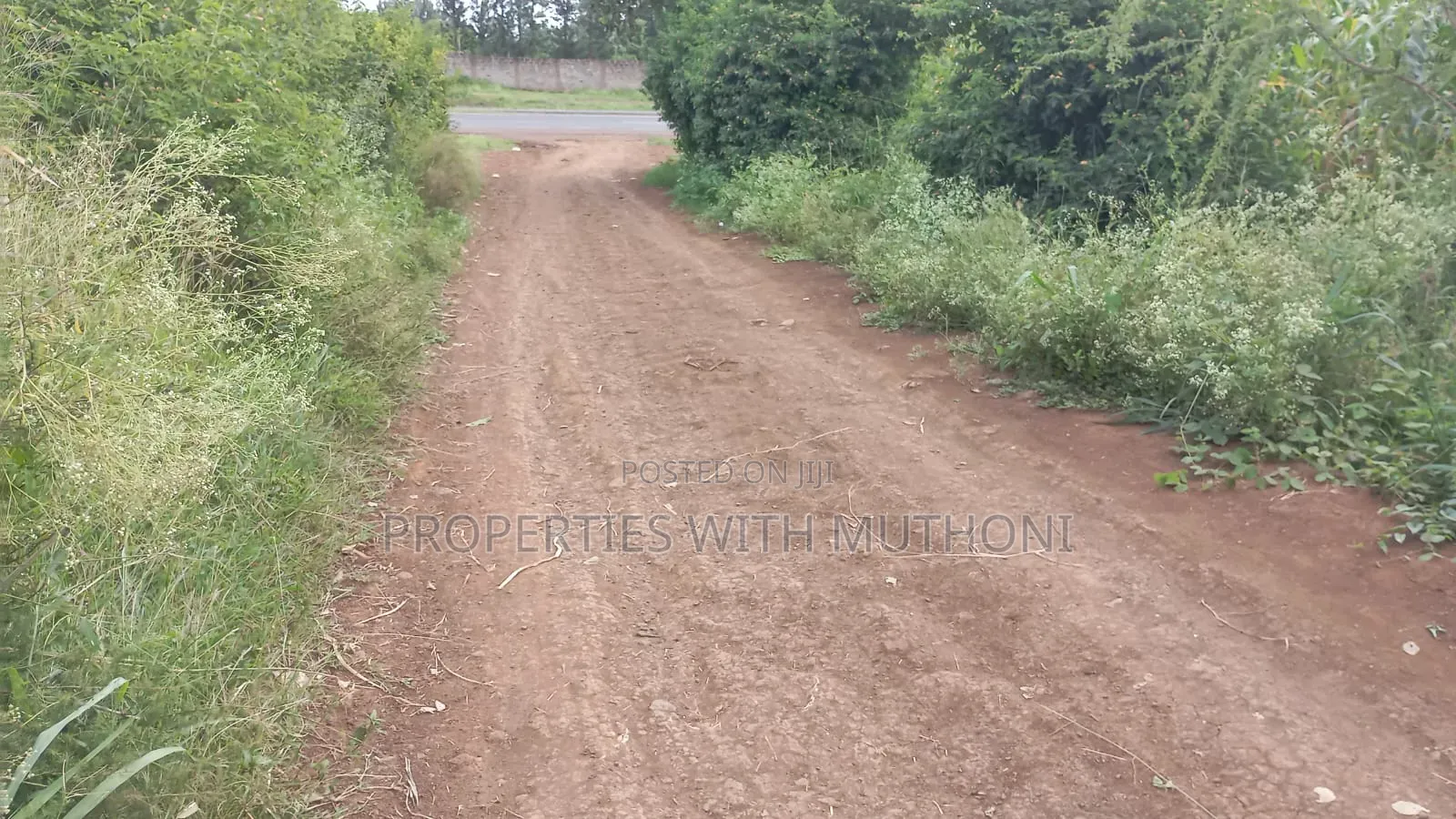 3/4 Acre for Sale in Sagana.