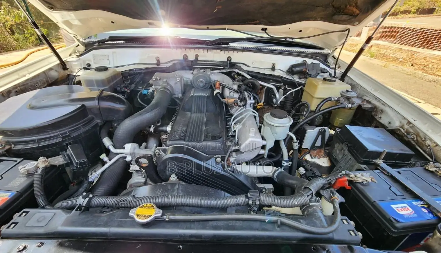 Toyota Land Cruiser 1999 White