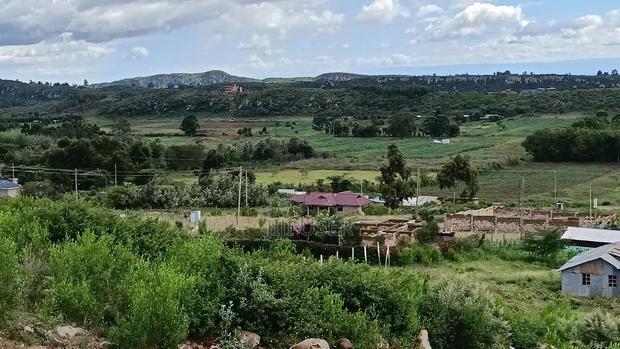 Prime Plots at Kamangu Ndiguini