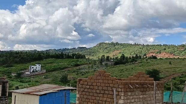 Prime Plots at Kamangu Ndiguini - thumbnail 4
