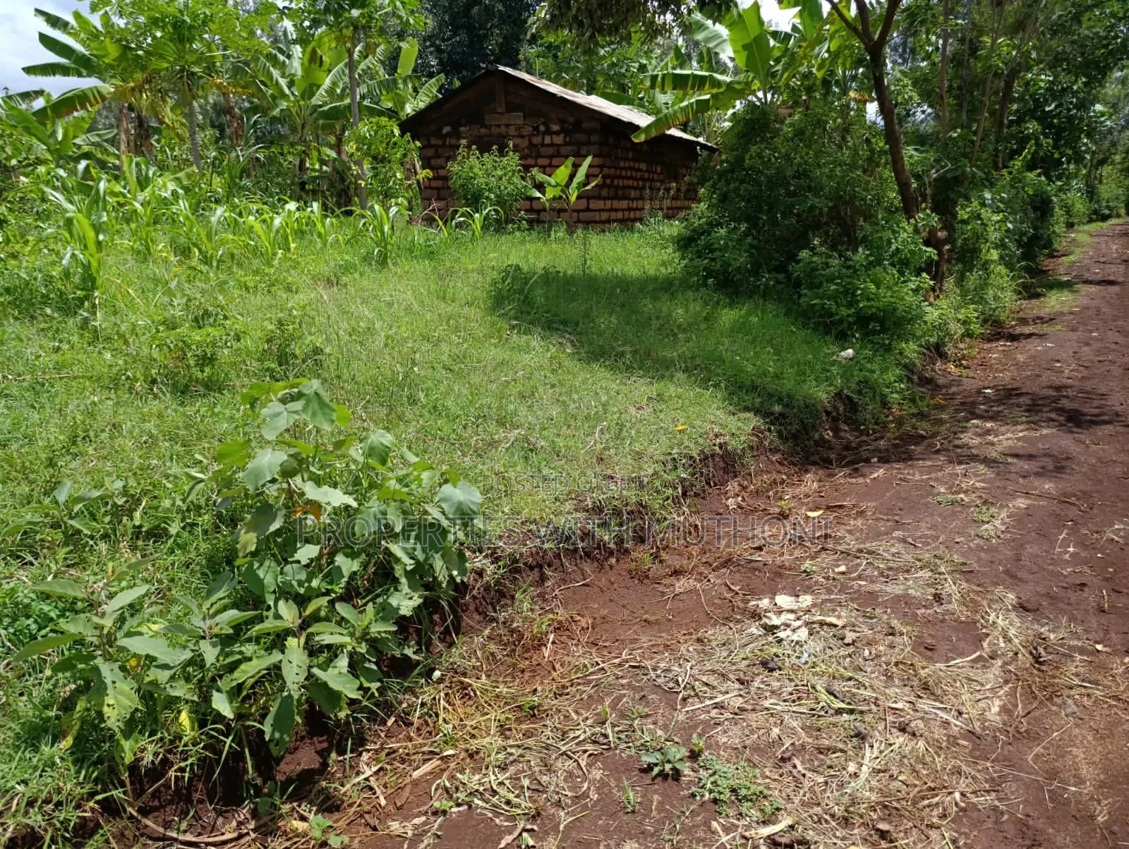1/4 Acre Plot for Sale in Kiamuthambi, Kirinyaga County.