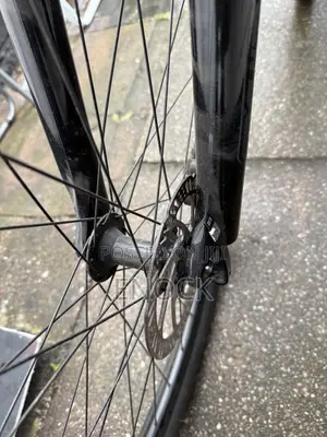 Forme Mountain Bike