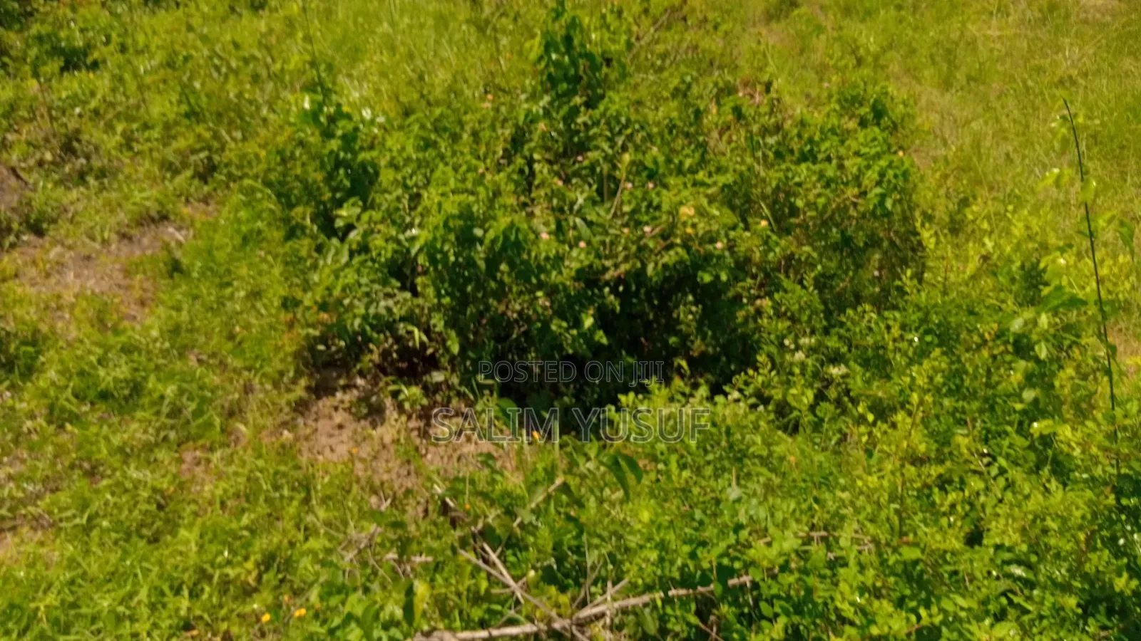 Land on Sale Vuga Kwale Count 5 Acres