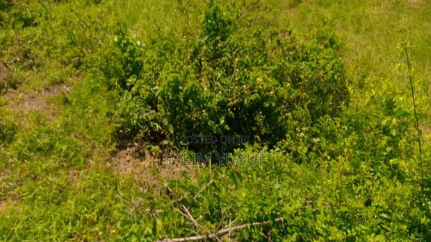Land on Sale Vuga Kwale Count 5 Acres - thumbnail 4