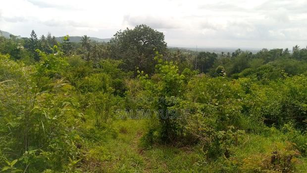 Land on Sale Vuga Kwale Count 5 Acres - thumbnail 5