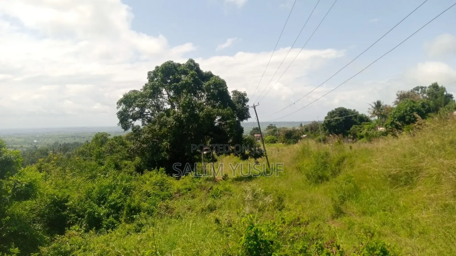 Land on Sale Vuga Kwale Count 5 Acres