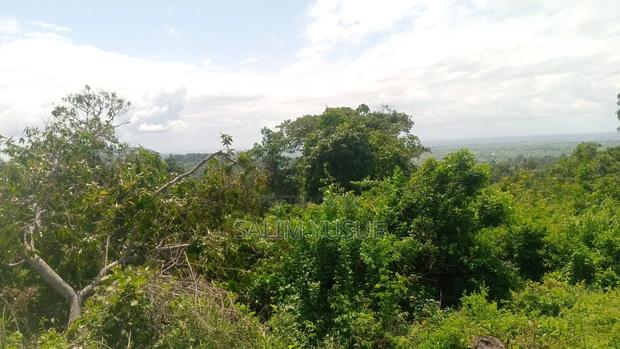 Land on Sale Vuga Kwale Count 5 Acres - thumbnail 7