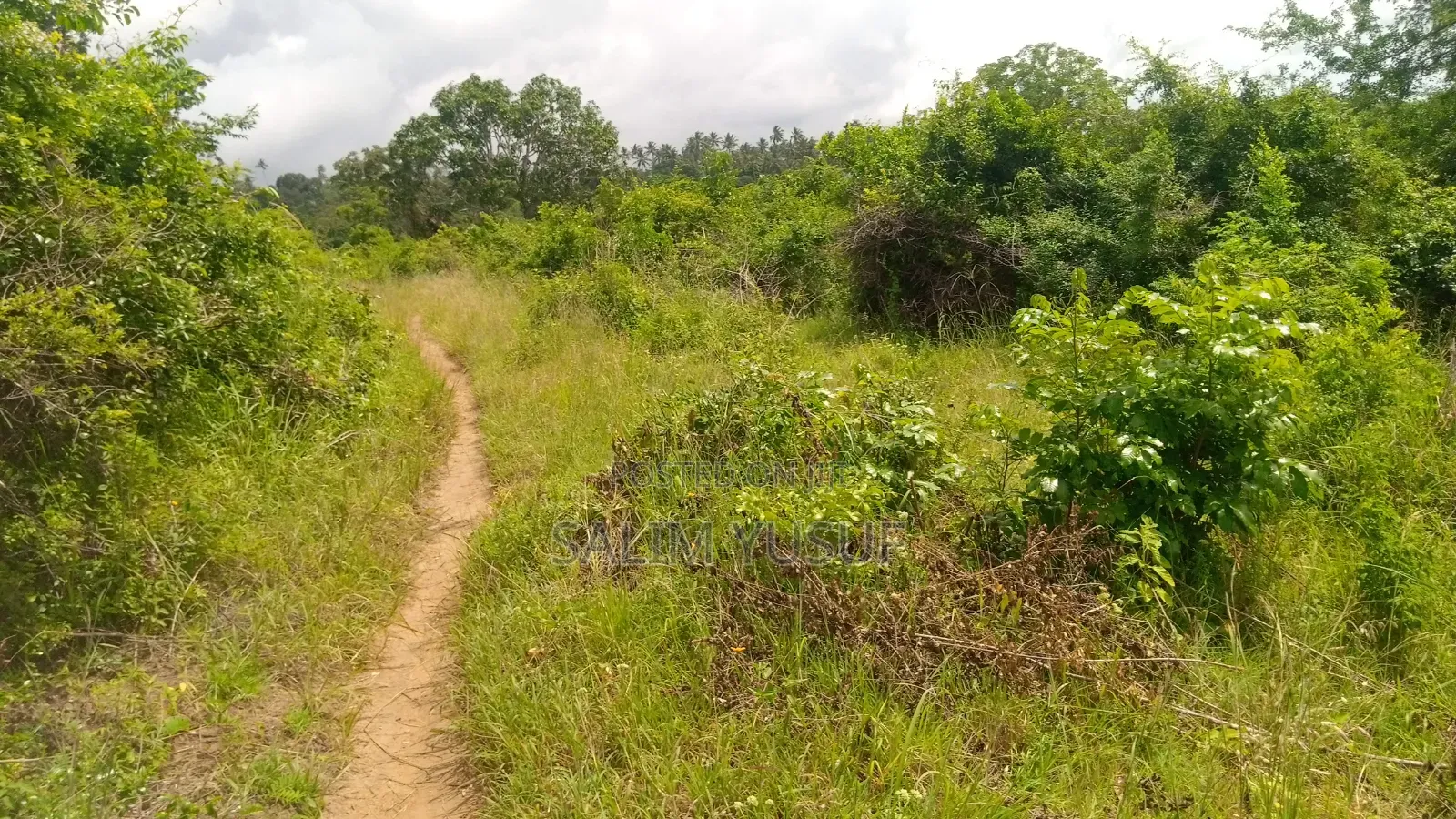 Land on Sale Vuga Kwale Count 5 Acres