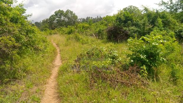 Land on Sale Vuga Kwale Count 5 Acres - thumbnail 8