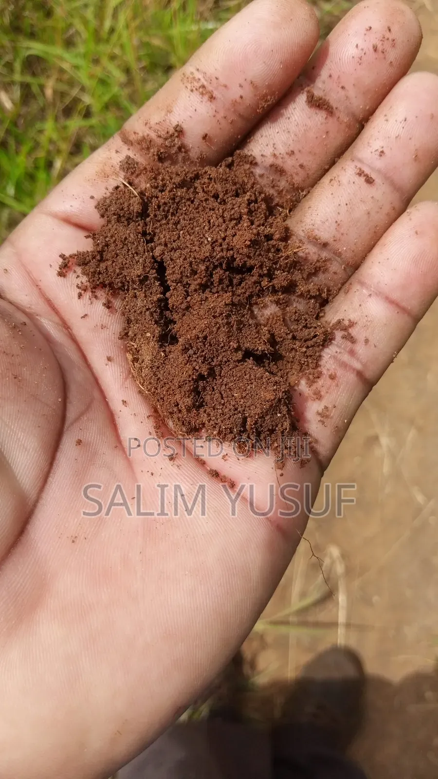 Land on Sale Vuga Kwale Count 5 Acres