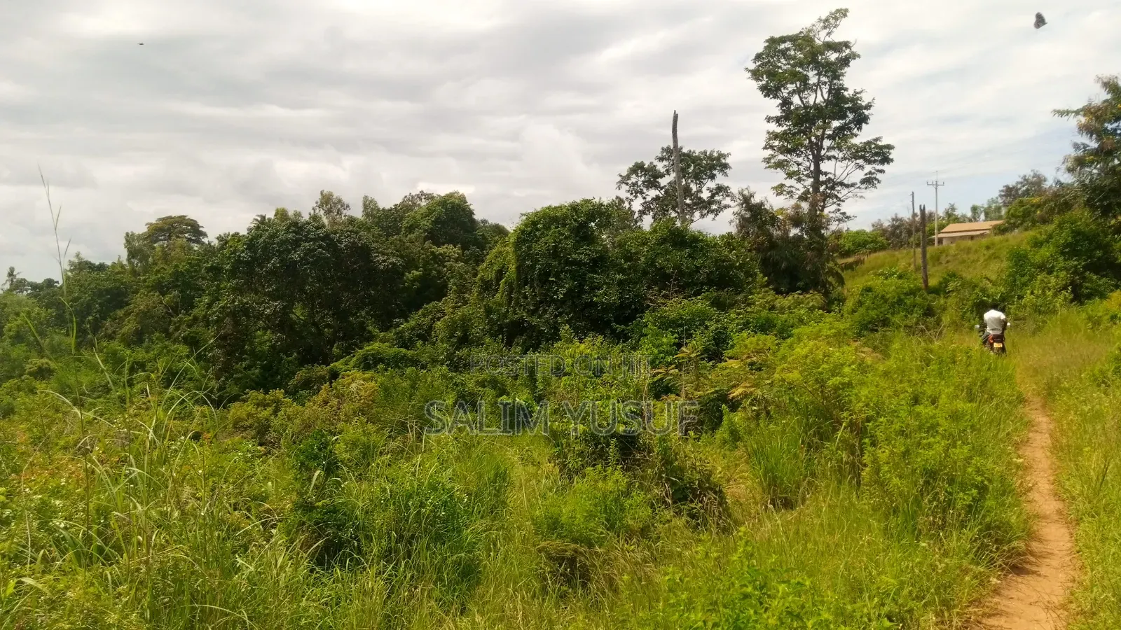 Land on Sale Vuga Kwale Count 5 Acres