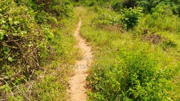 Land on Sale Vuga Kwale Count 5 Acres - thumbnail 11