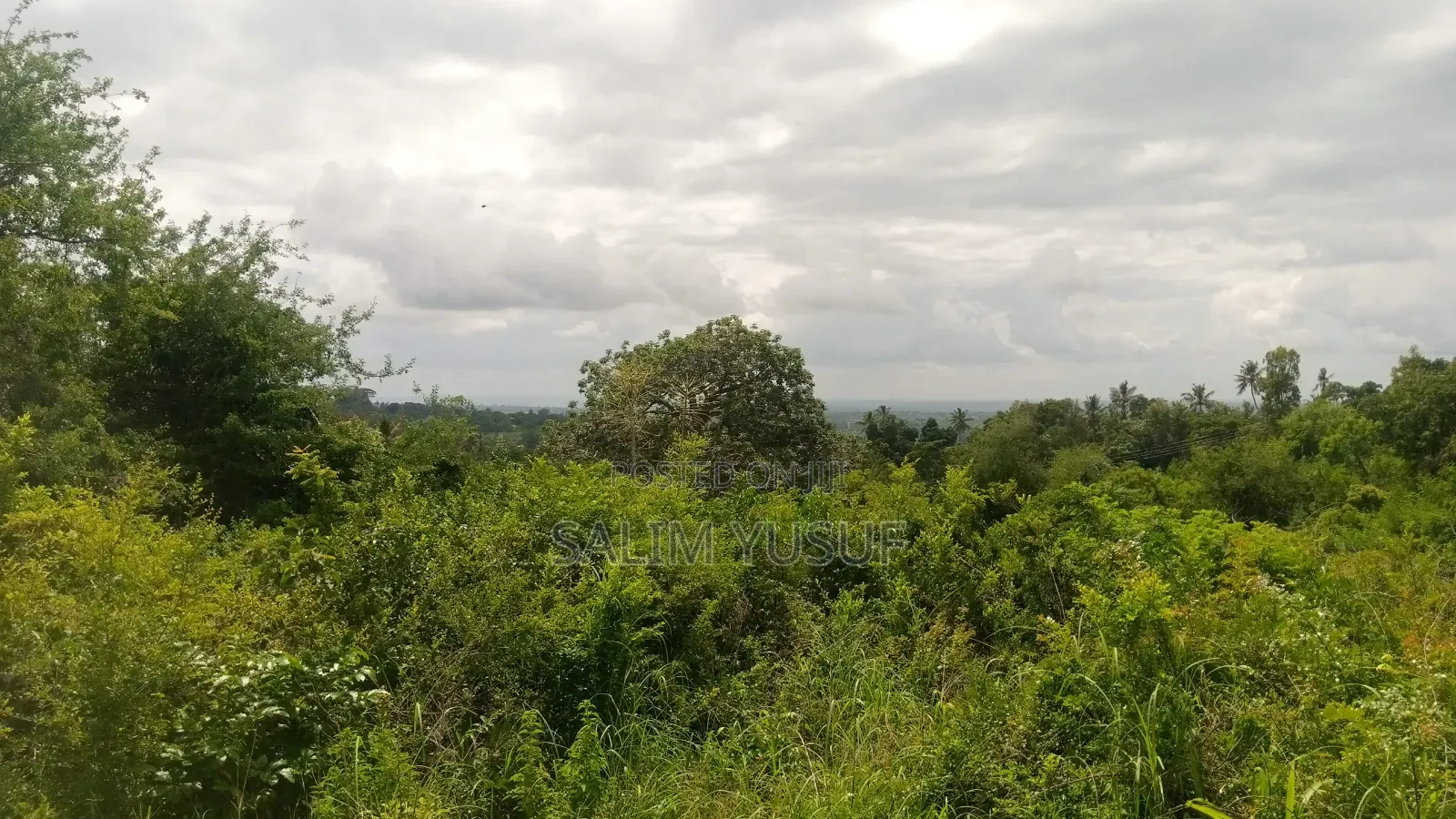 Land on Sale Vuga Kwale Count 5 Acres