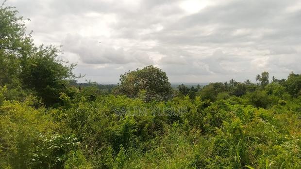 Land on Sale Vuga Kwale Count 5 Acres - thumbnail 12